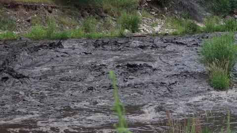 Burn scar and mud slide into the river near Glen Haven Colorado July 15, Stock Footage 201404269