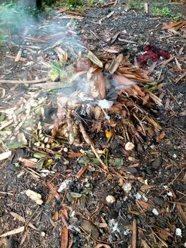 Burn trash Stock Photos