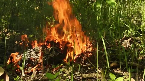 Burn trash that shows flames Stock Footage 340342353