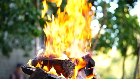 Burn wood in the fire Stock Footage 94831205