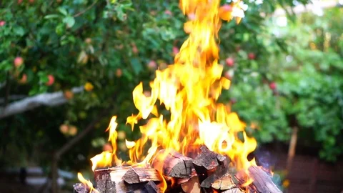 Burn wood in the fire Stock Footage 94831421