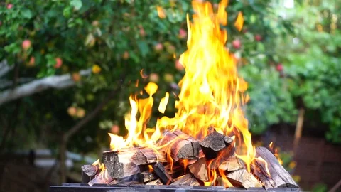 Burn wood in the fire Stock Footage 94831423