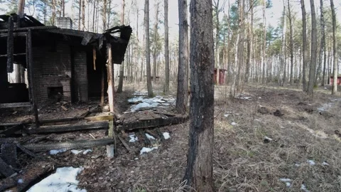 Burned-abandoned-cabin-in-pine-forest-slow-pan-009 Stock Footage 330762720