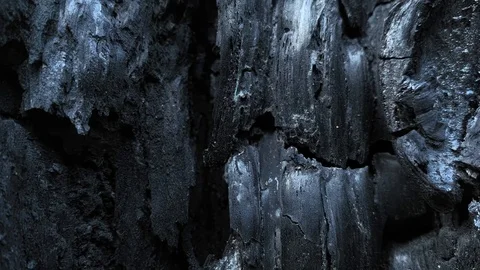 Burned And Charred Tree Trunk Close Up. Hot Summer Weather. Aftermath Of Forest  스톡 동영상 115100357