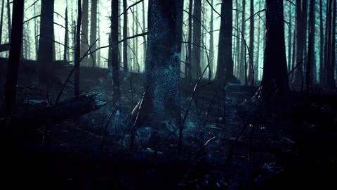 A burned and desolate forest landscape イラスト素材