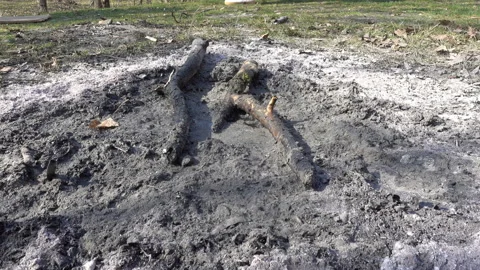 Burned ashes in a cold fire in 4k Stock Footage 151644786