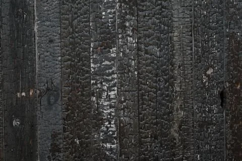 Burned boards or planks, vertical texture Foto stock