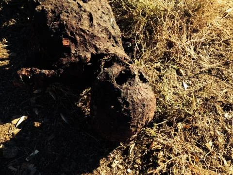 Burned body Foto stock