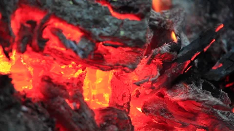 Burned charcoal 스톡 동영상 161842256