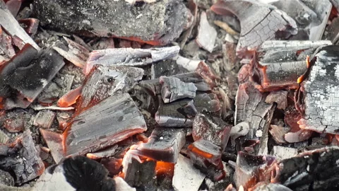 Burned coals and ashes in a bonfire Stock Footage 129333735