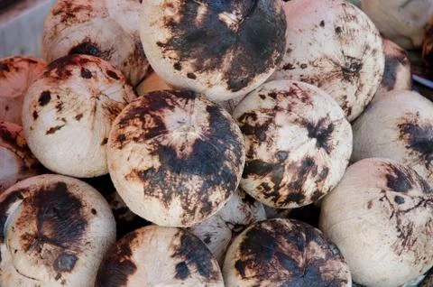 Burned coconut Stock Photos