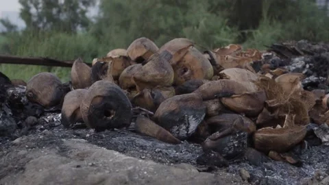 Burned Coconut Shells After Fire Close-Up Texture Stock-Footage 332611920