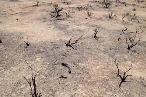 Burned desert Stock Photos