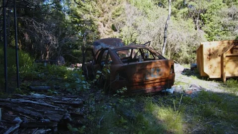 Burned Down Car Rusty Left In Woods Next To Container Stock Footage 168816755