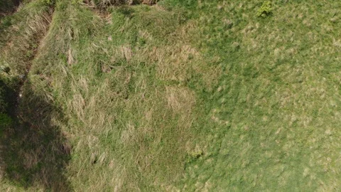 Burned down ruin of the building Stock Footage 89901606