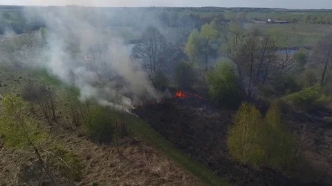 Burned dry grass 12 Stock Footage 102331423