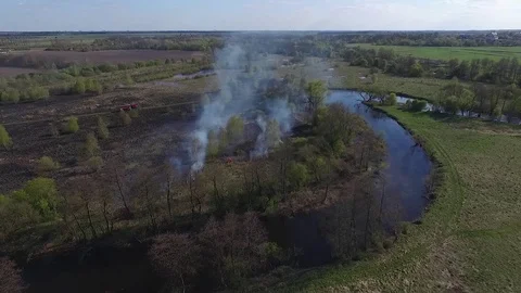 Burned dry grass 18 Stock Footage 102331560