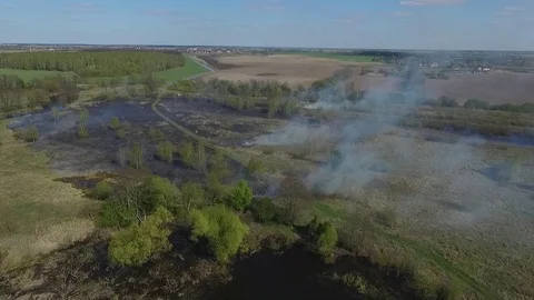 Burned dry grass 2 Stock Footage 102331612
