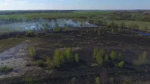Burned dry grass 20 Stock Footage 102331702