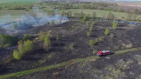 Burned dry grass 21 Stock Footage 102331738