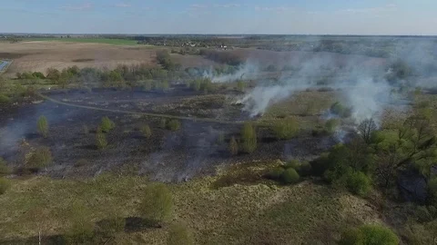 Burned dry grass 5 Stock Footage 102332060