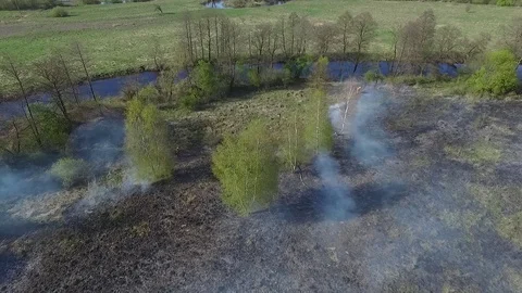 Burned dry grass. Fire in the meadow. Stock Footage 102331831