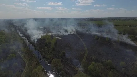 Burned dry grass. Fire in the meadow. Stock Footage 102332205