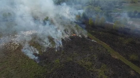 Burned dry grass. Fire in the meadow. Stock Footage 102332284