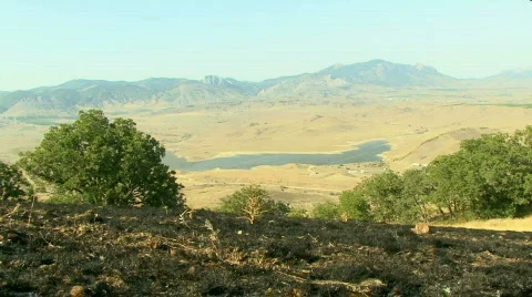 Burned Earth and Trees 動画素材 582019