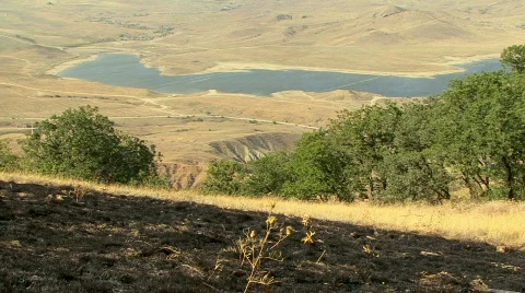 Burned Earth 動画素材 582048