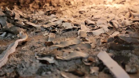 Burned evidence / ash in a fireplace Stock Footage 236328630