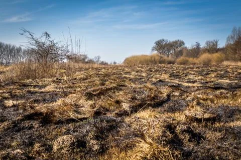 Burned field Stock Photos