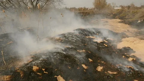 Burned field in the spring. Disaster. A lot of smoke around. Ecological Stock Footage 131470909