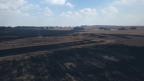 Burned fields on a hazy day with small dam in the distance Stock Footage 78584139