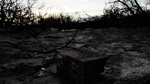Burned in the fire Stock Footage 94256215