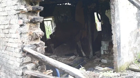 Burned in a fire house in the summer Stock Footage 119018232