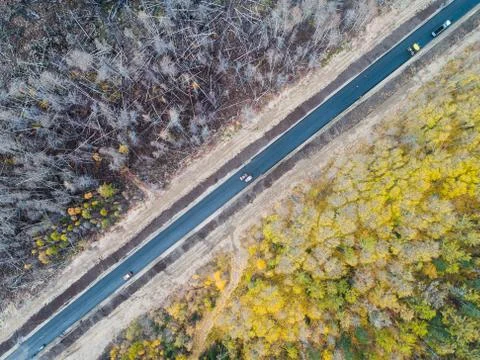 Burned forest from above Stock Photos