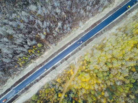 Burned forest from above Stock Photos