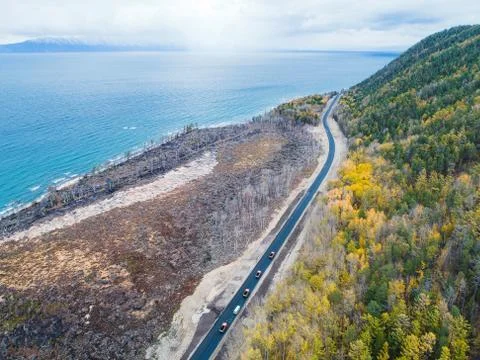 Burned forest from above Stock Photos
