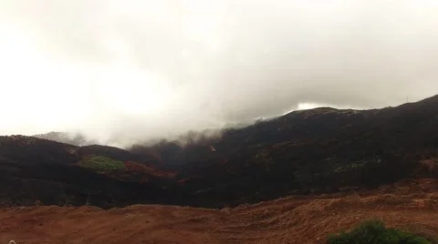 Burned forest after fire Madeira, Portugal aerial view Stock Footage 68447069