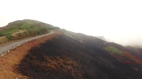 Burned forest after fire Madeira, Portugal aerial view Stock Footage 68447089