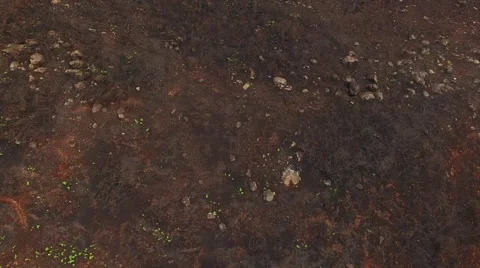 Burned forest after fire Madeira, Portugal aerial view Stock Footage 68447187