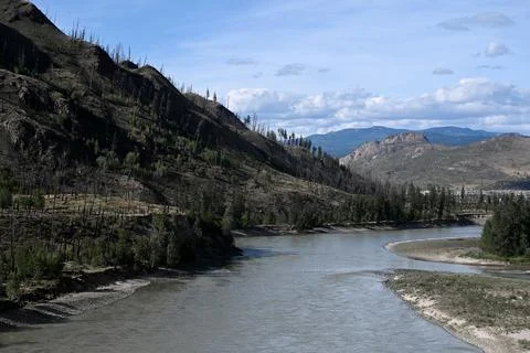 Burned forest after wildfire. dramatic burned forest in Canada Stock Photos