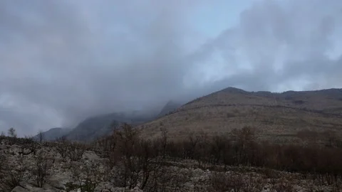 Burned forrests on a mountain side after a large wildfire Stock Footage 104868513