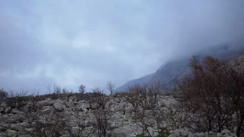 Burned forrests on a mountain side after a large wildfire 库存影片 104871537