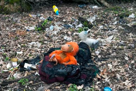 Burned garbage lying in forest Foto stock