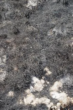 Burned Ground Stock Photos