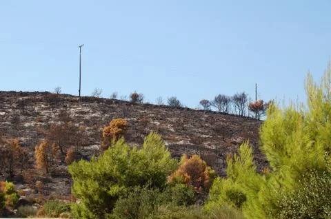 Burned hill Stock Photos
