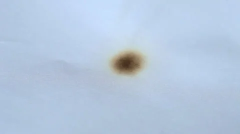 Burned hole on a white paper background Stock Footage 35569680