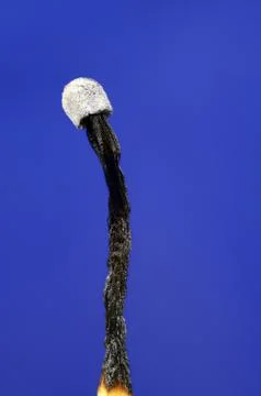 Burned match Stock Photos
